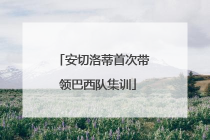 安切洛蒂首次带领巴西队集训