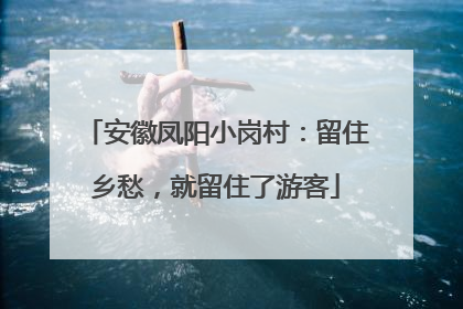 安徽凤阳小岗村：留住乡愁，就留住了游客