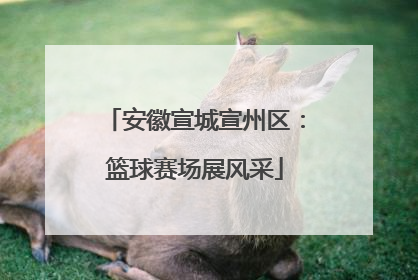 安徽宣城宣州区：篮球赛场展风采