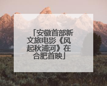 安徽首部新文旅电影《风起秋浦河》在合肥首映