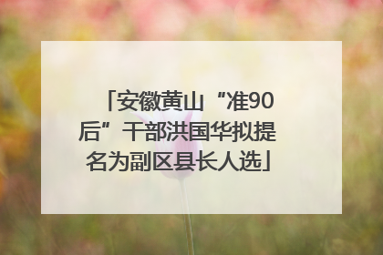 安徽黄山“准90后”干部洪国华拟提名为副区县长人选