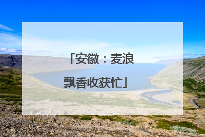 安徽：麦浪飘香收获忙