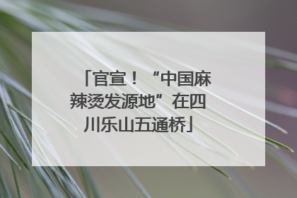 官宣！“中国麻辣烫发源地”在四川乐山五通桥
