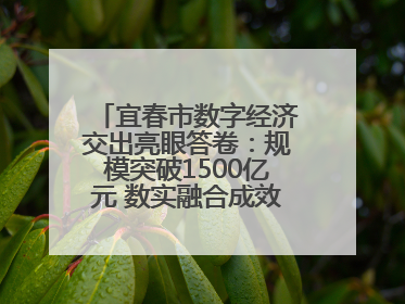 宜春市数字经济交出亮眼答卷：规模突破1500亿元 数实融合成效领跑全省（图）
