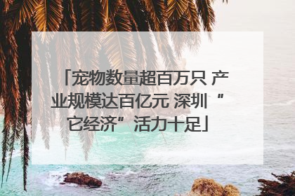 宠物数量超百万只 产业规模达百亿元 深圳“它经济”活力十足