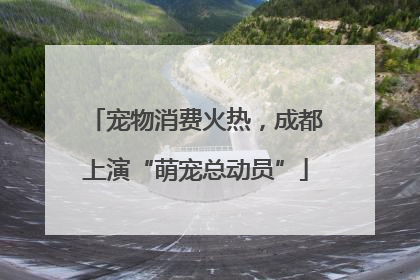 宠物消费火热，成都上演“萌宠总动员”