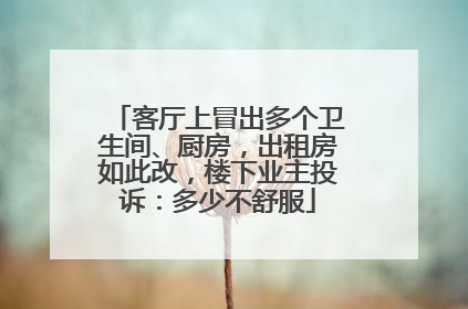 客厅上冒出多个卫生间、厨房，出租房如此改，楼下业主投诉：多少不舒服