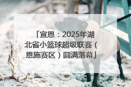 宣恩：2025年湖北省小篮球超级联赛（恩施赛区）圆满落幕