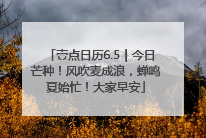 壹点日历6.5｜今日芒种！风吹麦成浪，蝉鸣夏始忙！大家早安