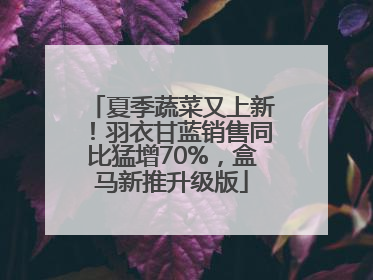 夏季蔬菜又上新！羽衣甘蓝销售同比猛增70%，盒马新推升级版