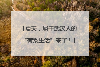 夏天，属于武汉人的“荷系生活”来了！