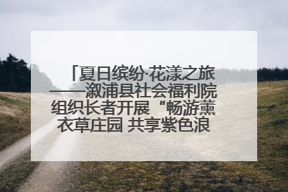夏日缤纷·花漾之旅——溆浦县社会福利院组织长者开展“畅游薰衣草庄园 共享紫色浪漫”户外活动