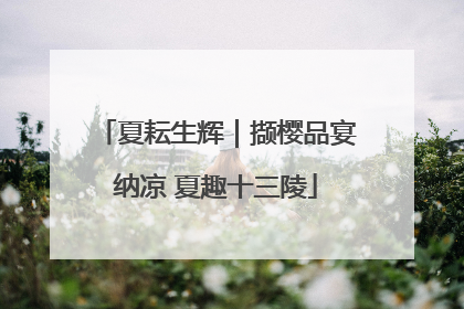 夏耘生辉｜撷樱品宴纳凉 夏趣十三陵