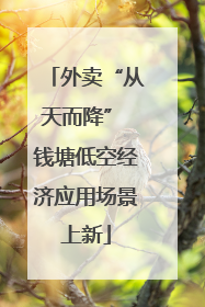 外卖“从天而降” 钱塘低空经济应用场景上新