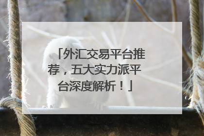 外汇交易平台推荐，五大实力派平台深度解析！