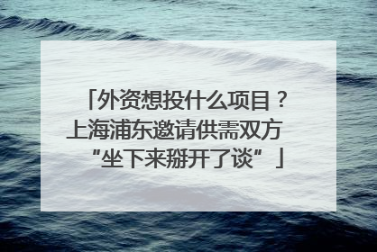 外资想投什么项目？上海浦东邀请供需双方“坐下来掰开了谈”