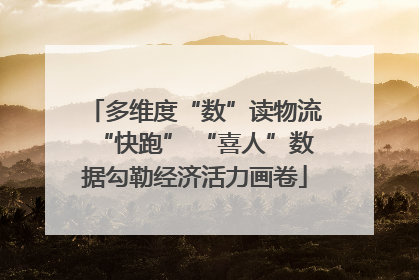 多维度“数”读物流“快跑” “喜人”数据勾勒经济活力画卷