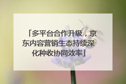 多平台合作升级，京东内容营销生态持续深化种收协同效率