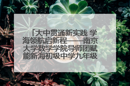 大中贯通新实践 学海领航启新程——南京大学数学学院导师团赋能新海初级中学九年级学子生涯规划