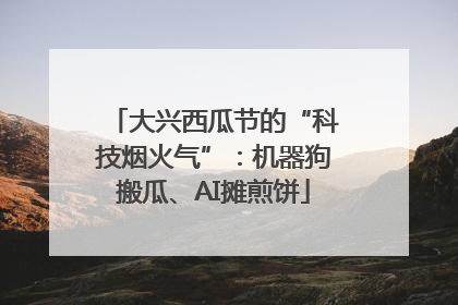 大兴西瓜节的“科技烟火气”：机器狗搬瓜、AI摊煎饼