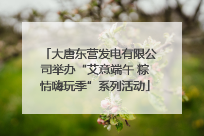大唐东营发电有限公司举办“艾意端午 粽情嗨玩季”系列活动