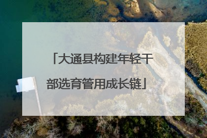 大通县构建年轻干部选育管用成长链