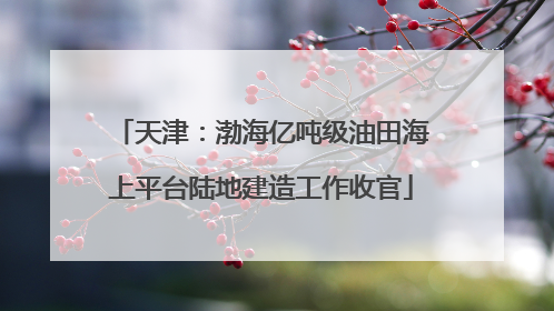 天津：渤海亿吨级油田海上平台陆地建造工作收官