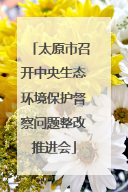 太原市召开中央生态环境保护督察问题整改推进会