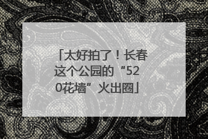 太好拍了！长春这个公园的“520花墙”火出圈