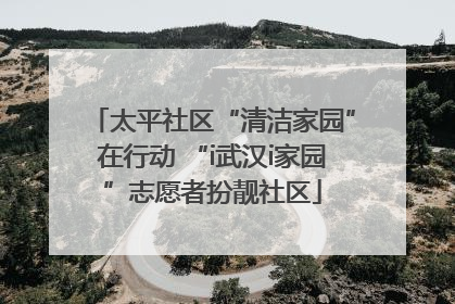 太平社区“清洁家园”在行动 “i武汉i家园”志愿者扮靓社区