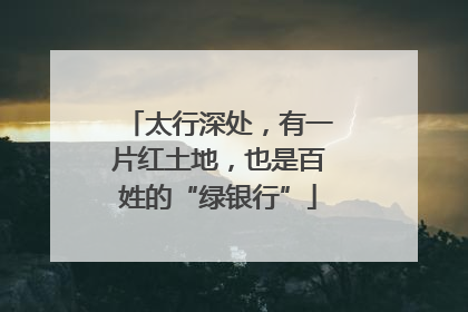 太行深处，有一片红土地，也是百姓的“绿银行”