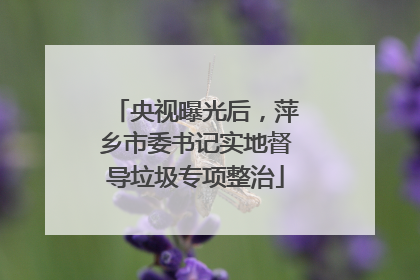 央视曝光后，萍乡市委书记实地督导垃圾专项整治