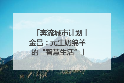 奔流城市计划丨金昌：元生奶绵羊的“智慧生活”