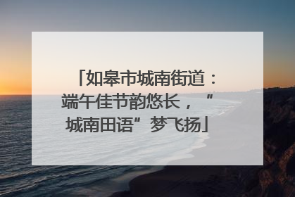 如皋市城南街道：端午佳节韵悠长，“城南田语”梦飞扬