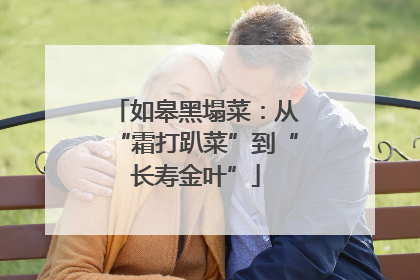 如皋黑塌菜：从“霜打趴菜”到“长寿金叶”