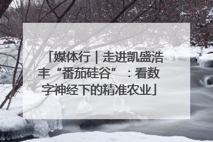 媒体行｜走进凯盛浩丰“番茄硅谷”：看数字神经下的精准农业