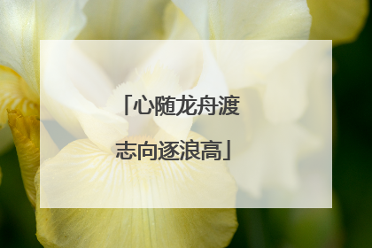 心随龙舟渡 志向逐浪高