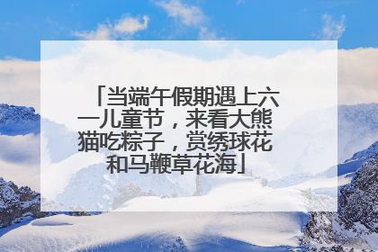 当端午假期遇上六一儿童节，来看大熊猫吃粽子，赏绣球花和马鞭草花海