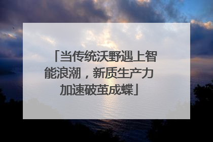当传统沃野遇上智能浪潮，新质生产力加速破茧成蝶