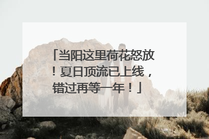 当阳这里荷花怒放！夏日顶流已上线，错过再等一年！