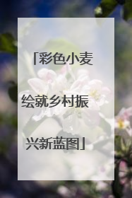 彩色小麦绘就乡村振兴新蓝图