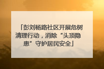 彭刘杨路社区开展危树清理行动，消除“头顶隐患”守护居民安全