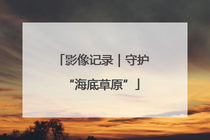 影像记录｜守护“海底草原”