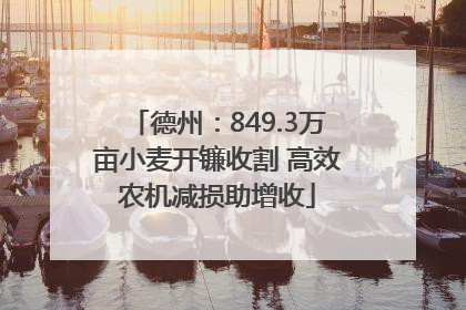 德州：849.3万亩小麦开镰收割 高效农机减损助增收