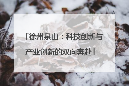 徐州泉山：科技创新与产业创新的双向奔赴