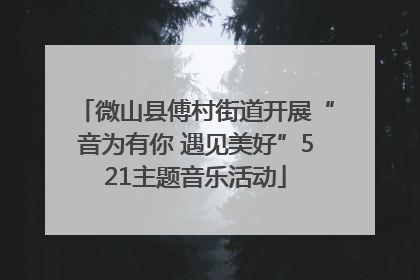 微山县傅村街道开展“音为有你 遇见美好”521主题音乐活动