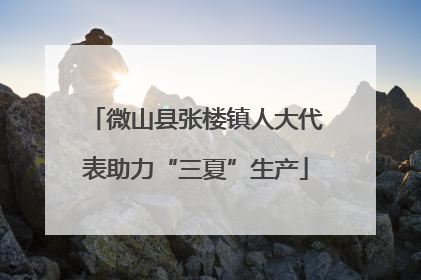 微山县张楼镇人大代表助力“三夏”生产