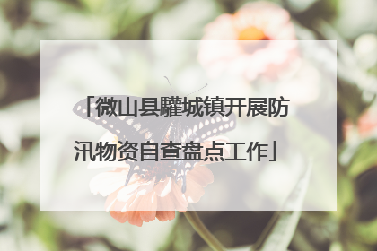 微山县驩城镇开展防汛物资自查盘点工作