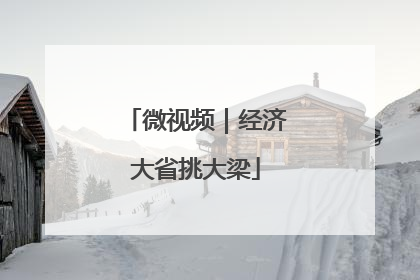微视频｜经济大省挑大梁