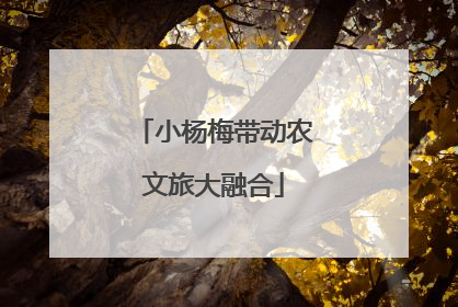 小杨梅带动农文旅大融合